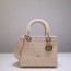 디올 DIOR 미디엄 레이디백 DR341