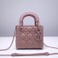 디올 DIOR 미니 레이디백 DR363