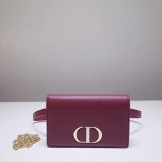 디올 DIOR 벨트백 DR510