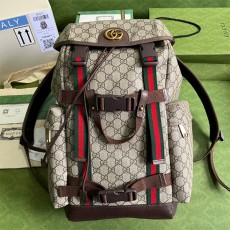 구찌 GUCCI 웹 GG 스케이트보드 백팩 690999 GU02108