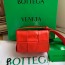 보테가 BOTTEGA VENETA 베네타 미니 카세트백 667048 BO0810