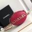 샤넬 CHANEL 여성 23S 숄더백 C2436